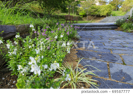 淡路景觀園藝學校秋花 淡路景觀園藝學校秋花 69587777