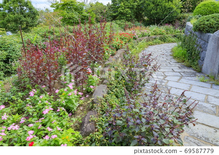淡路景觀園藝學校秋花 69587779