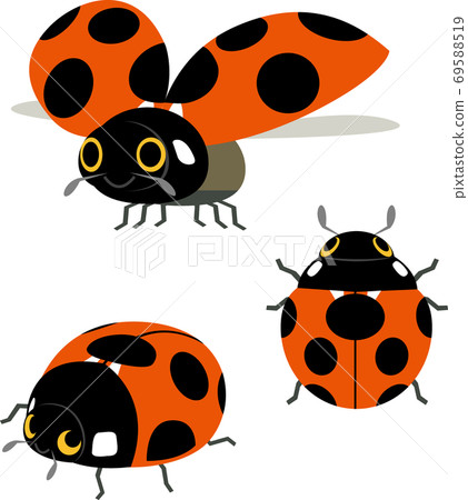 Lepidoptera 69588519