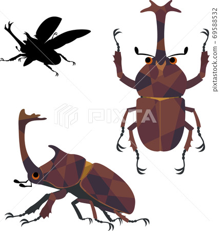 甲蟲昆蟲 甲蟲昆蟲 69588532