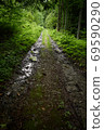Woodland penumbra. Wet forest road in partial shade of the green Carpathian woods. Mountain dirtroad at the foot of Mt. Bilyi Kamin (1062), Polonynian Beskids, Ukrainian Carpathians 69590290