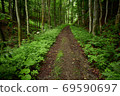 Fairy road. Mountain dirt road in the shade of amazing green forest. Route at the foot of Mt. Bilyi Kamin (1062), Polonynian Beskids, Ukrainian Carpathians 69590697