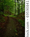 Road in the woods. Pathway in the Carpathian forest. Route at the foot of Mt. Bilyi Kamin (1062), Polonynian Beskids, Ukrainian Carpathians 69590841