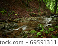Mountain flow. Serene mountain stream flow in a hidden ravine strewn with fallen leaves in a green forest 69591311