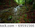 Mountain stream. A mountain stream carries crystal clear water among deciduous forest 69591566