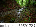 Carpathian stream. Mountain stream flows in a ravine among the forest. Unnamed tributary of the Shypit river, foot of Mt. Bilyi Kamin (1062), Polonynian Beskids, Ukrainian Carpathians 69591725