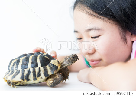 女孩和寵物烏龜 女孩和寵物烏龜 69592110