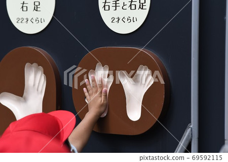 黑猩猩bill-1 69592115