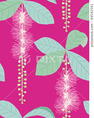 Sagaribana pattern picture pink magenta Sagaribana pattern picture pink magenta 69592591
