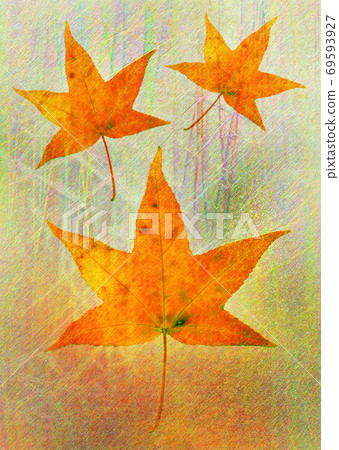 Konoha Art Platanus 69593927