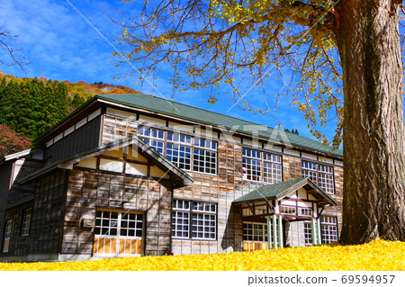 A mountain village elementary school colored by ginkgo. Kuimaru, Showa, Fukushima, Japan. Early November. 69594957