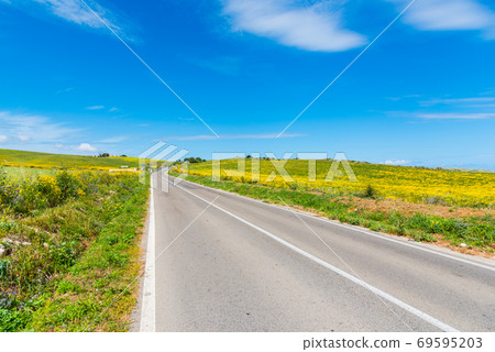 Country road in Spring 69595203