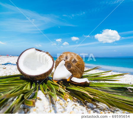 Coconuts halves on palm leaves 69595654