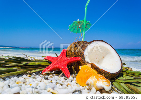 coconuts, starfish and shells 69595655