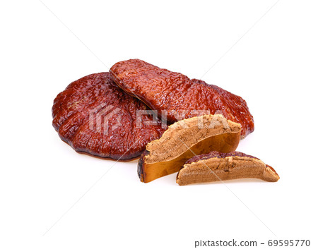Dried Lingzhi mushroom on white background Dried Lingzhi mushroom on white background 69595770