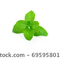 Fresh mint leaves on white background 69595801