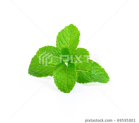 Fresh mint leaves on white background 69595801