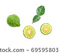 Kaffir lime with leaves on white background 69595803