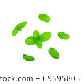 Fresh mint leaves on white background 69595805
