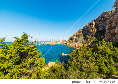 Green plants by the sea in Sardinia 69597556