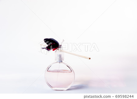 women's perfume in beautiful bottle isolated on white women's perfume in beautiful bottle isolated on white 69598244