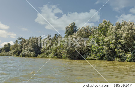 Danube river with clouds in Vilkove, Ukraine. 69599147
