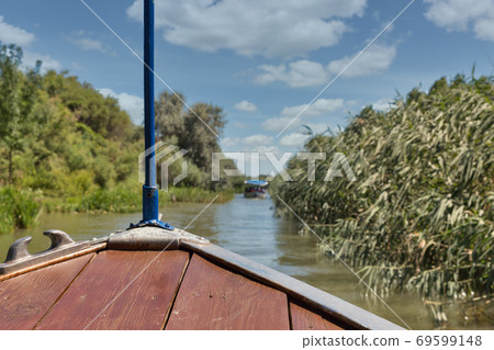 Danube biosphere reserve Ankudinovo river summer landscape. Vilkove, Ukraine. 69599148