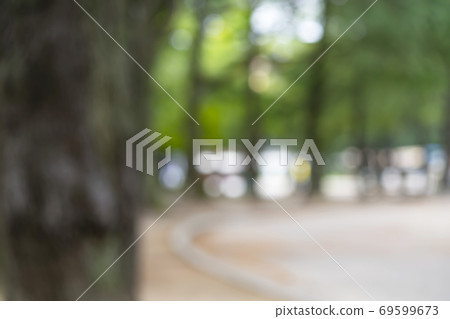 Park / blur expression 69599673