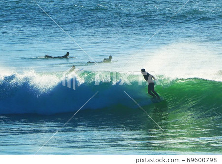 Summer of surfers Summer of surfers 69600798