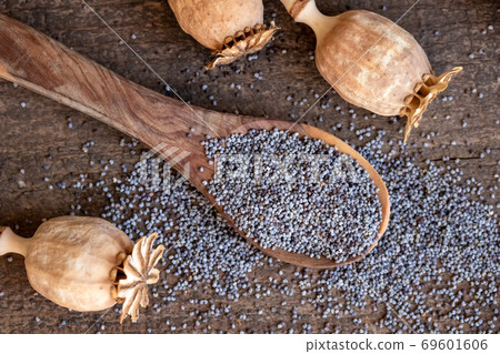 Poppy seeds and pods on a table 69601606