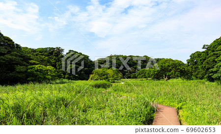 湘南三浦半島小明之森保留大都市的珍貴自然的夏天 69602653