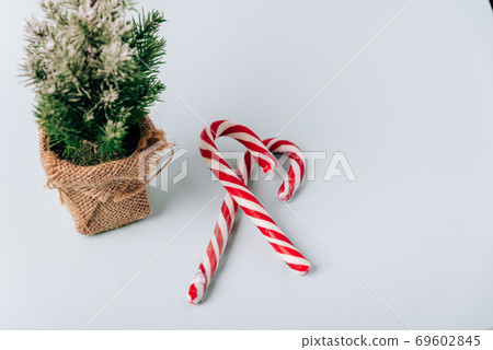 Winter layout with a small Christmas tree on a blue background Winter layout with a small Christmas tree on a blue background 69602845