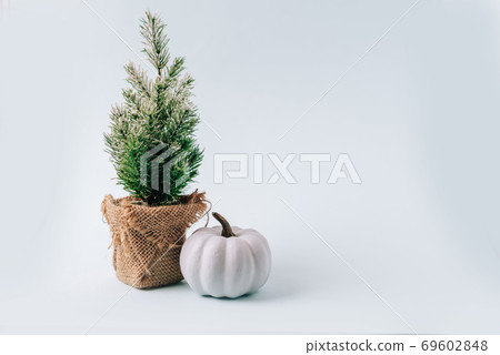Winter layout with a small Christmas tree on a blue background Winter layout with a small Christmas tree on a blue background 69602848