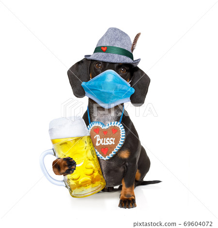 bavarian beer dog in covid 19 time bavarian beer dog in covid 19 time 69604072