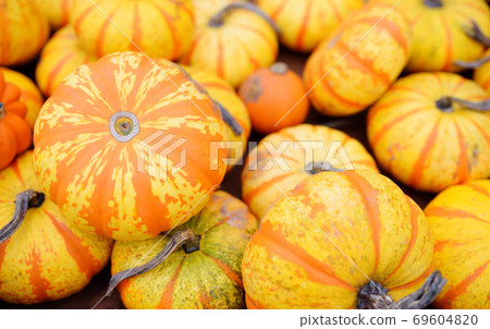 Fresh healthy bio pumpkins lying on the ground on farmer agricultural market at autumn. 69604820