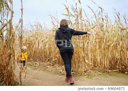 Family walking among the dried corn stalks in a corn maze. Little boy and his mother having fun Family walking among the dried corn stalks in a corn maze. Little boy and his mother having fun 69604871