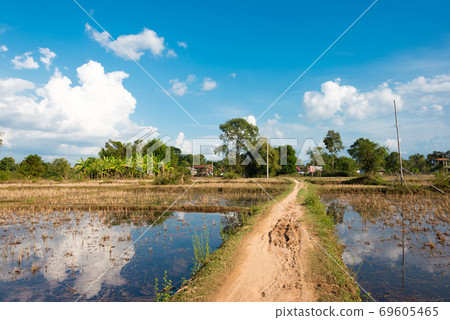 Scenery of Dondet (Det Island), Laos Si Phan Don, Det Island, Champasak Province, Laos 69605465