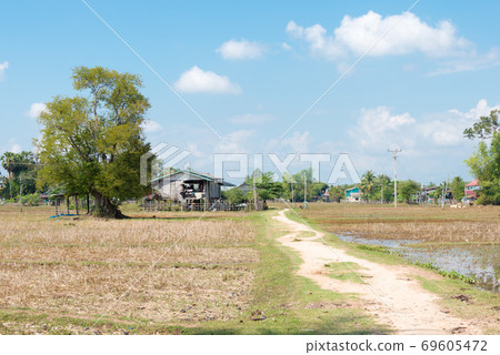 老撾海Pandon Dondet（Det島）風光老撾Champersak Province德島 69605472