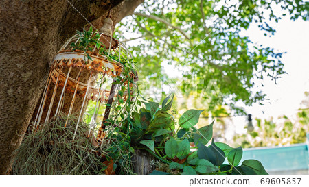 Old Rusted Bird Cage Decoration 69605857