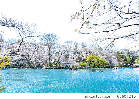 Cherry blossoms in full bloom and boat in the pond [colored pencils] 69607219
