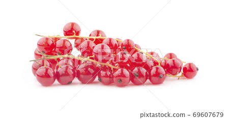 Red currant berries an isolated on white background Red currant berries an isolated on white background 69607679