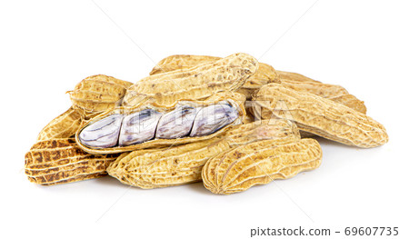 boil nut an isolated on white background.clipping path boil nut an isolated on white background.clipping path 69607735