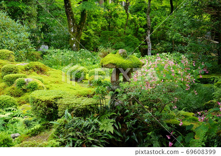 Sanzenin / Jubien 6 69608399