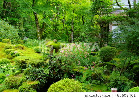 Sanzenin / Jubien 10 Sanzenin / Jubien 10 69608401