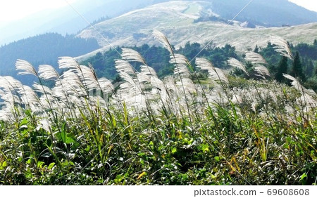 秋天生石山和歌山草原 69608608