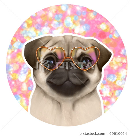 pug glasses