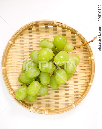 閃亮馬斯喀特葡萄葡萄 閃亮馬斯喀特葡萄葡萄 69610102