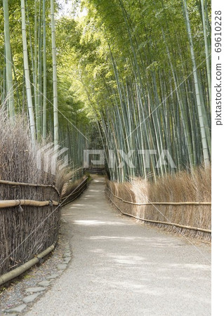 嵐山旅遊勝地，竹林小徑 69610228