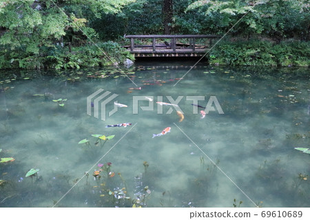 Gifu Prefecture Monet's Pond, commonly known as Monet's Pond 69610689