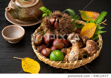 秋天的味道和黏土瓶 秋天的味道和黏土瓶 69612637